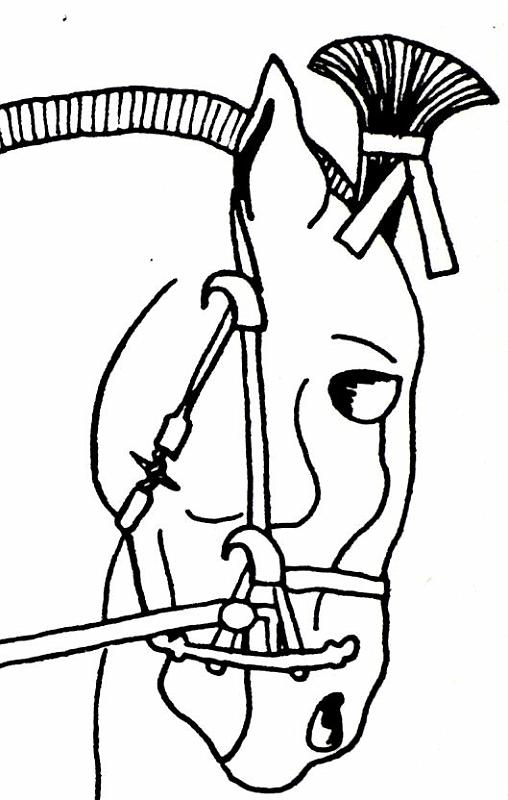 Kappadokischer Hengst (Persepolis)T36A4.jpg